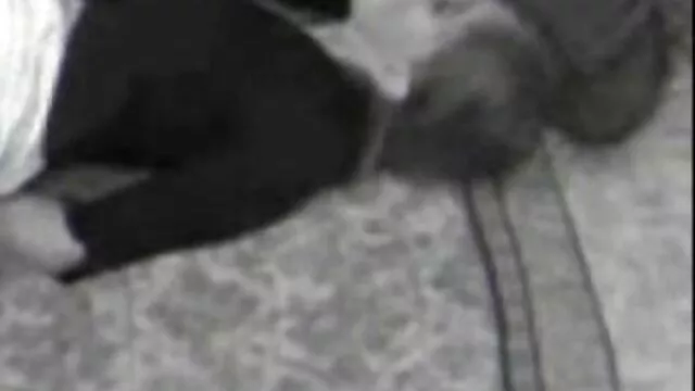 Cum eu quero os melhores filme pornô drops pussy Asian porno clip