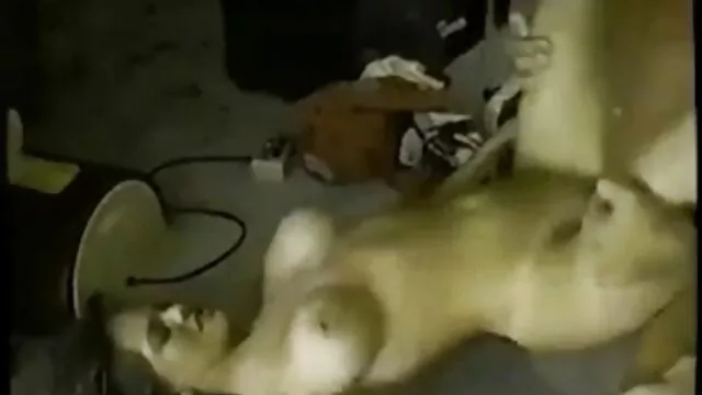 O jovem faz um broche intenso quero assistir os melhores filme de pornô enquanto o rabo é penetrado
