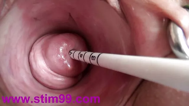Wild group ver os melhores videos porno gratis fuck scene