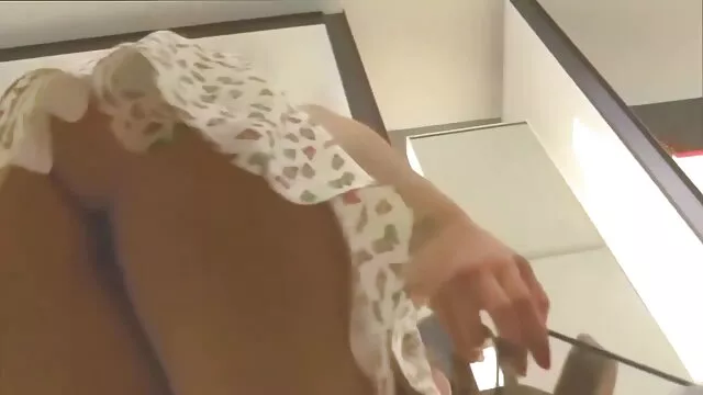Amadoras marotas os melhores videos de porno do mundo a chupar pilas