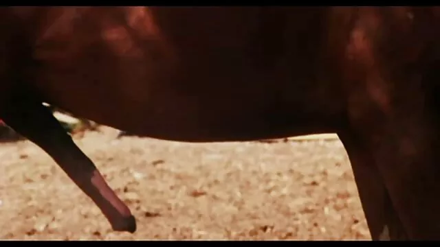 Tipo hetero filme pornô os melhores brasileiros a dormir, masturbar-se.